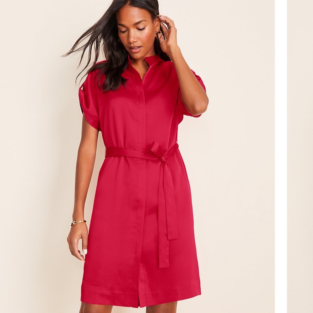 NWT Ann Taylor Belted Shirtdress